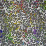 Gray Laminated Leopard Elastic Grid - Ribes y Casals