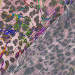 Pink Laminated Leopard Elastic Mesh - Ribes y Casals