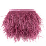 Feather Fringe Plus Raspberry - Ribes y Casals
