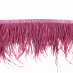 Feather Fringe Plus Raspberry - Ribes y Casals