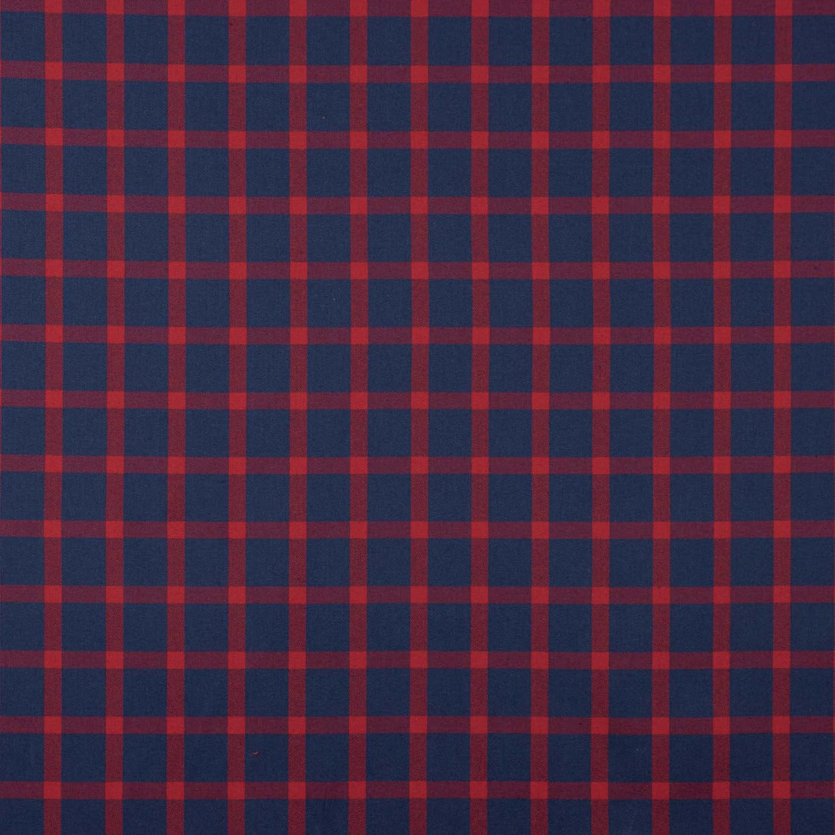 Blue and Red Plaid Cotton Flannel Fabric - Ribes y Casals