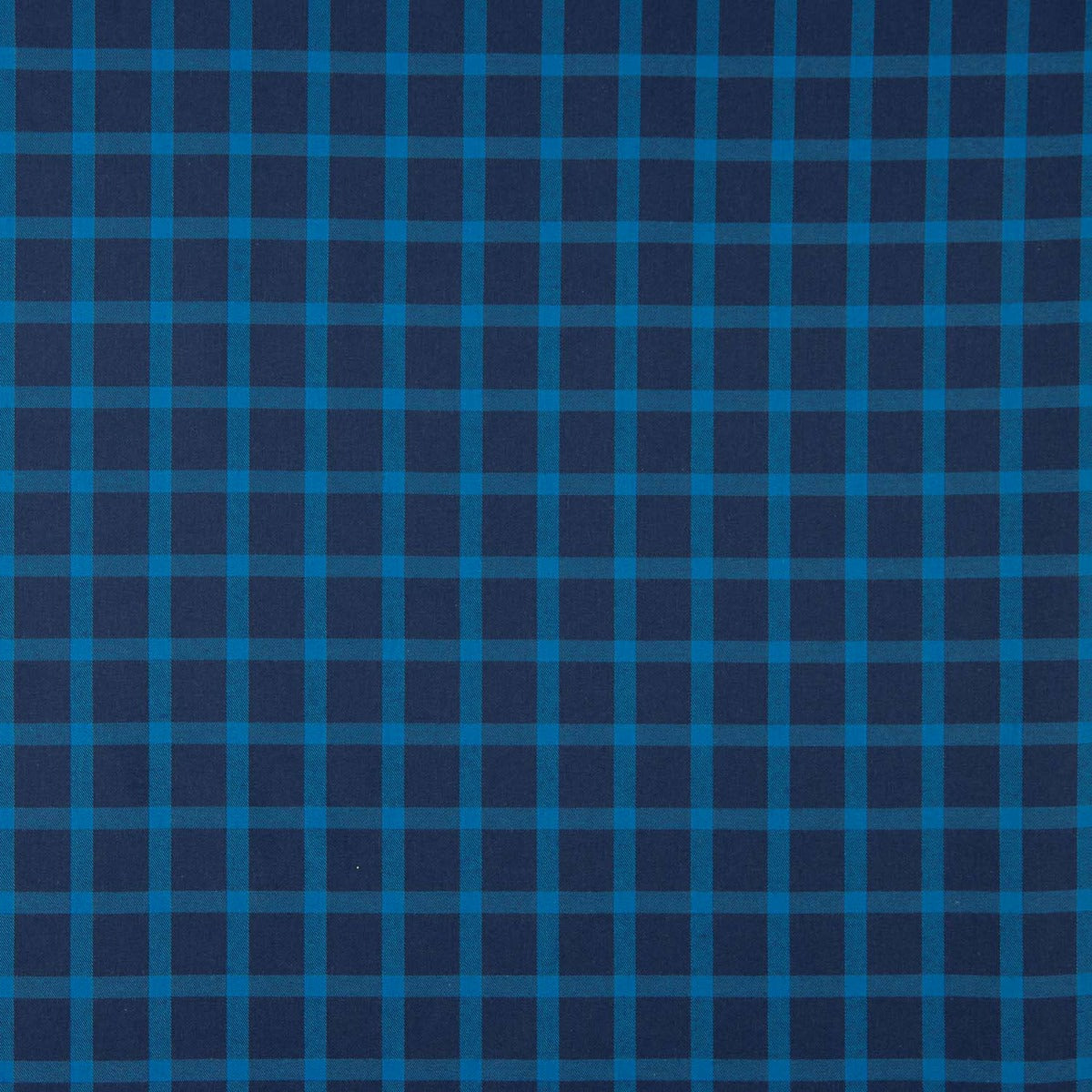 Blue Plaid Cotton Flannel Fabric - Ribes y Casals