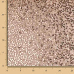 Lamé Knitwear Gold Sequin Makeup - Ribes y Casals