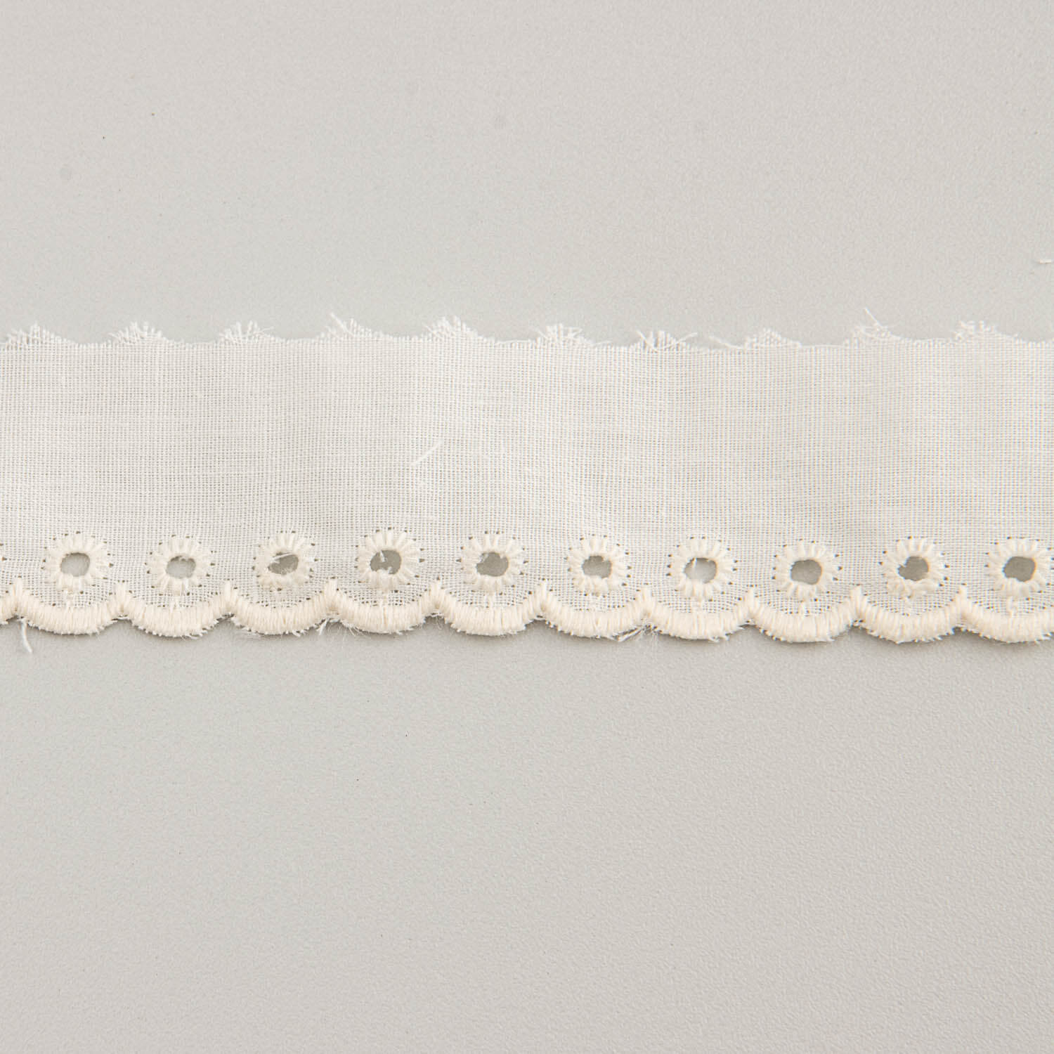 Embroidered Cotton Ribbon 2.5cm - Ribes y Casals
