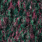 Koshibo Splash Fuchsia Print - Ribes y Casals
