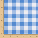 Blue Checkered Printed Calico - Ribes y Casals
