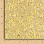 Abstract Yellow and Gold Brocade - Ribes y Casals