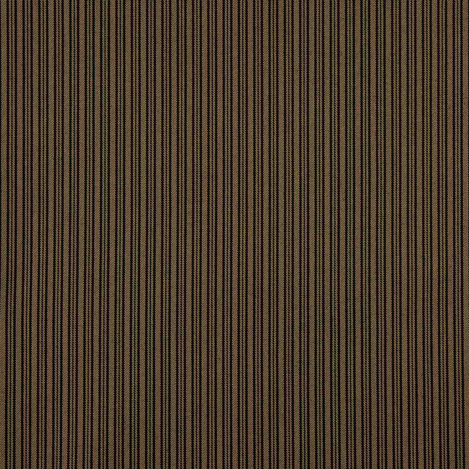 Brown Striped Chester Campero - Ribes y Casals