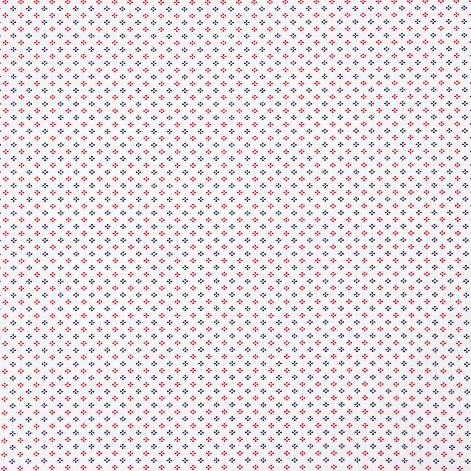 Red and Blue Floral Cotton Shirt - Ribes y Casals