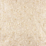 Gold Beige Textured Brocade - Ribes y Casals