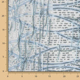 Soft Blue Tulle with Sequins and Fringes - Ribes y Casals