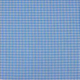 Gingham Basic Blue Mini 20 - Ribes y Casals