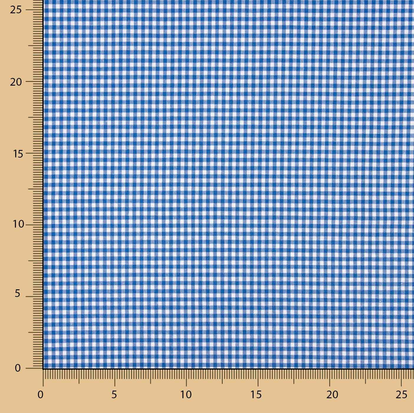 Gingham Basic Blue Mini 20 - Ribes y Casals