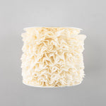 22 mm Ecru Lace Trim - Ribes y Casals