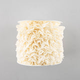 22 mm Ecru Lace Trim - Ribes y Casals