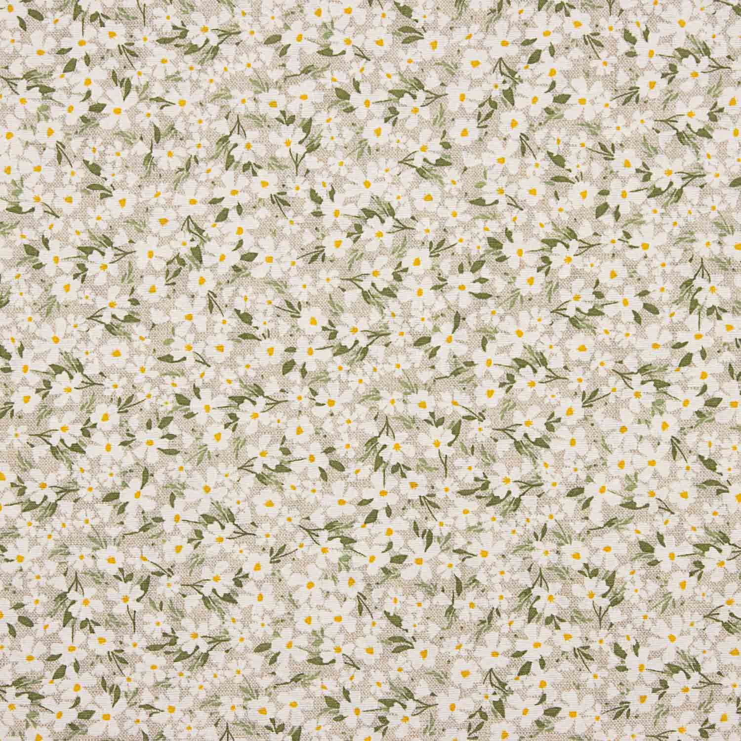 Green Daisies Canvas - Ribes y Casals