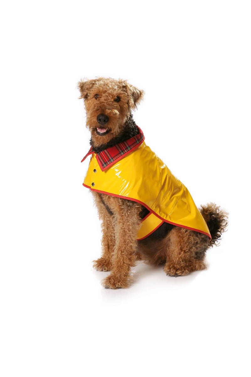 Burda Sewing Pattern 7752 Dog Coat - Ribes y Casals