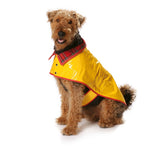 Burda Sewing Pattern 7752 Dog Coat - Ribes y Casals