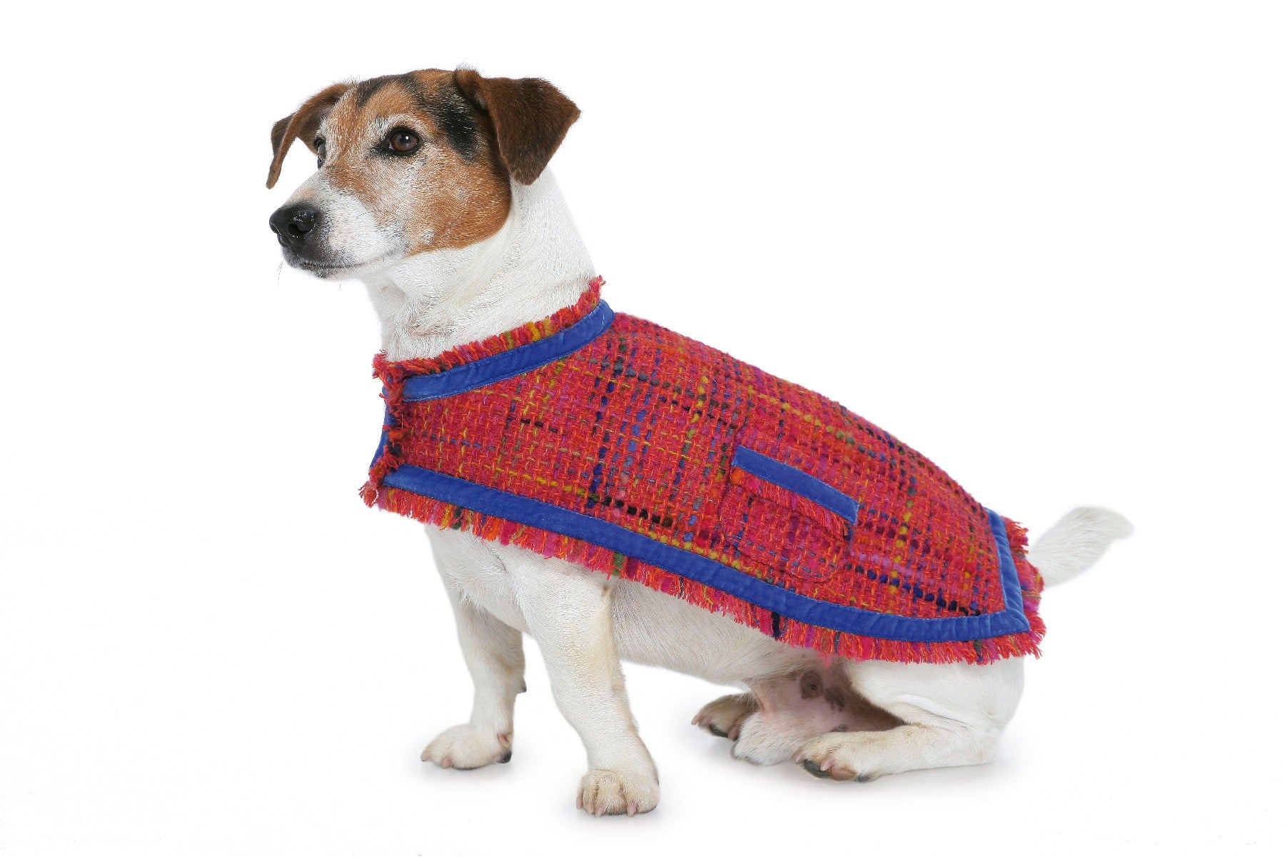 Burda Sewing Pattern 7752 Dog Coat - Ribes y Casals