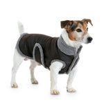 Burda Sewing Pattern 7752 Dog Coat - Ribes y Casals