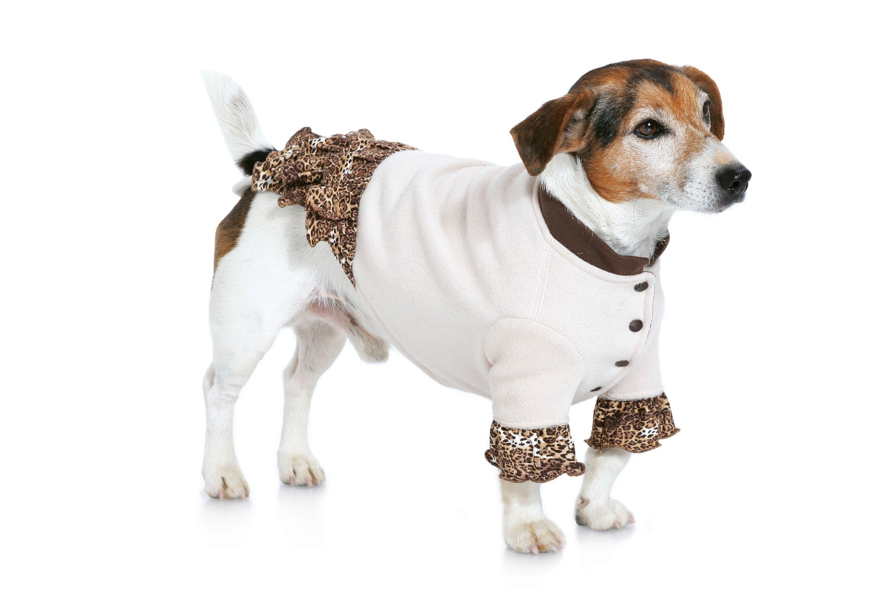 Burda Sewing Pattern 7752 Dog Coat - Ribes y Casals