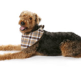Burda Sewing Pattern 7752 Dog Coat - Ribes y Casals