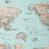 Vintage World Map Printed Canvas - Ribes y Casals