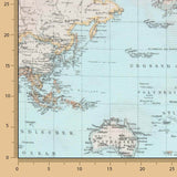 Vintage World Map Printed Canvas - Ribes y Casals