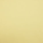 Yellow Cotton Voile - Ribes y Casals