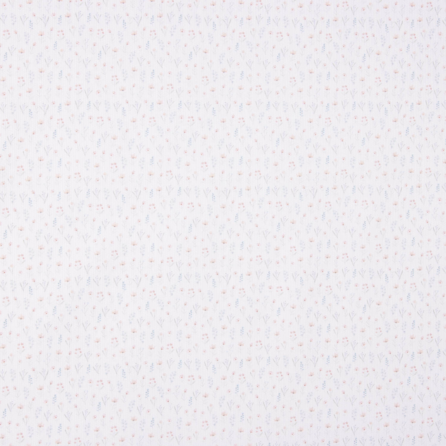 Mini Blue and Pink Cotton Piqué - Ribes y Casals