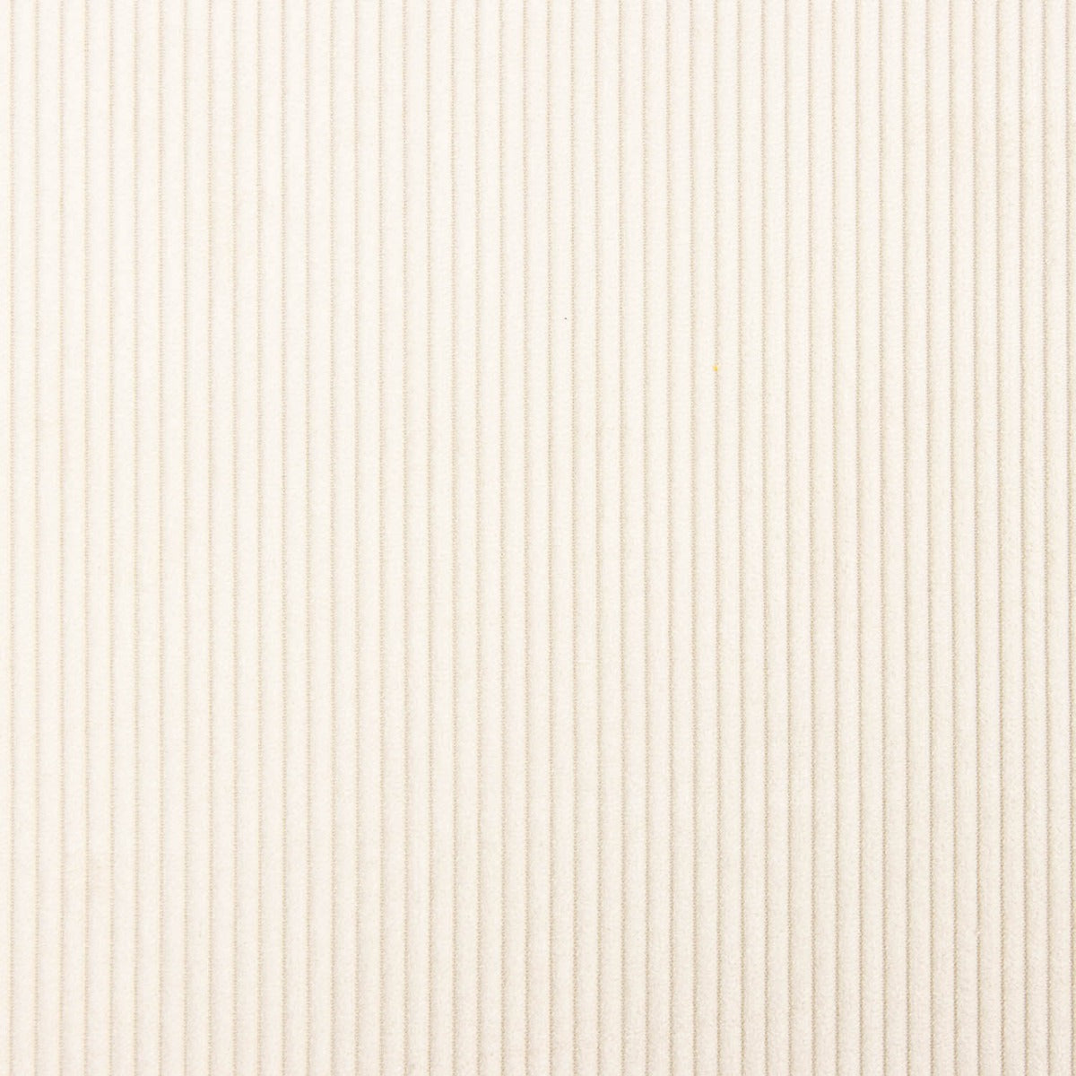 Cream Natural Upholstery Corduroy - Ribes y Casals