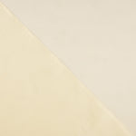 Beige Silk Organza - Ribes y Casals