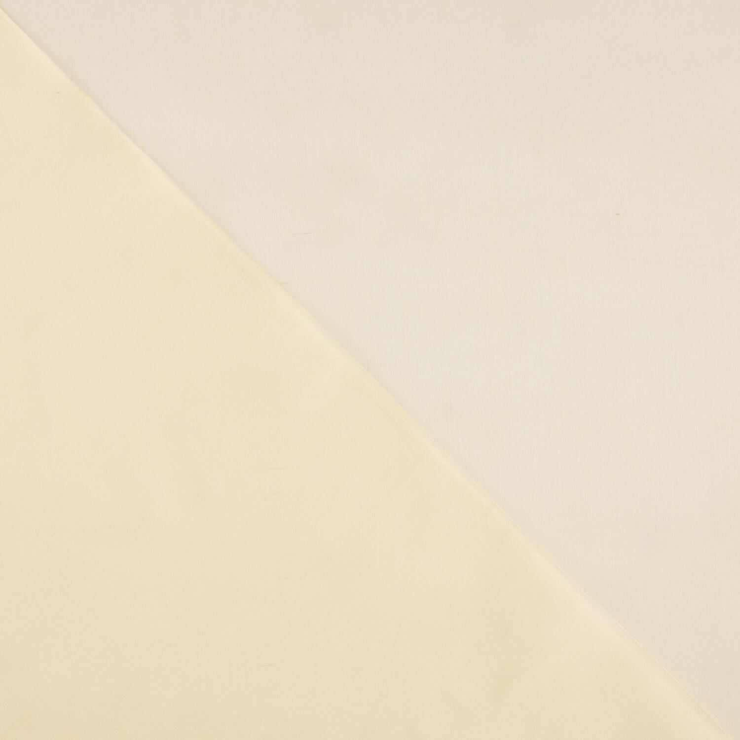 Beige Silk Organza - Ribes y Casals