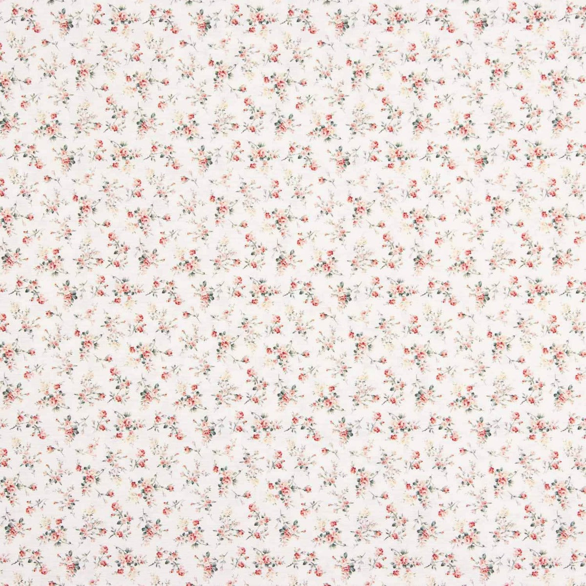 Vintage Rose Canvas - Ribes y Casals