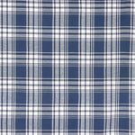 Viyela Kansas Blue and White Checkered Shirt - Ribes y Casals