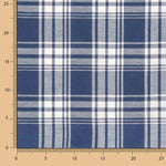 Viyela Kansas Blue and White Checkered Shirt - Ribes y Casals