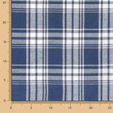 Viyela Kansas Blue and White Checkered Shirt - Ribes y Casals