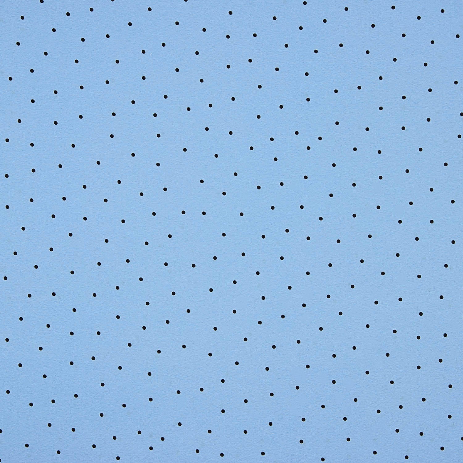 Koshibo Polka Dots Light Blue-Black Needle - Ribes y Casals