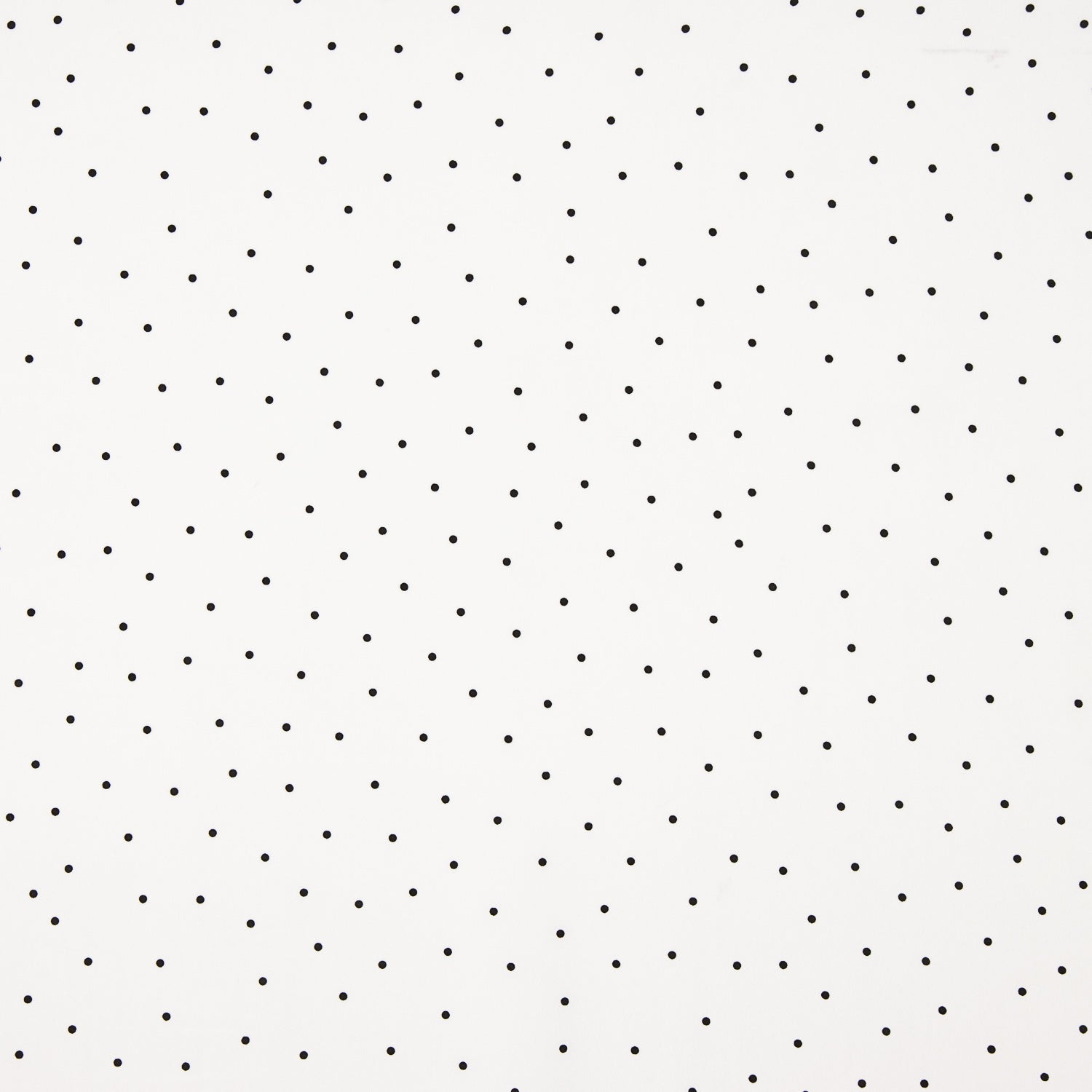 Koshibo Polka Dot Needle White-Black - Ribes y Casals