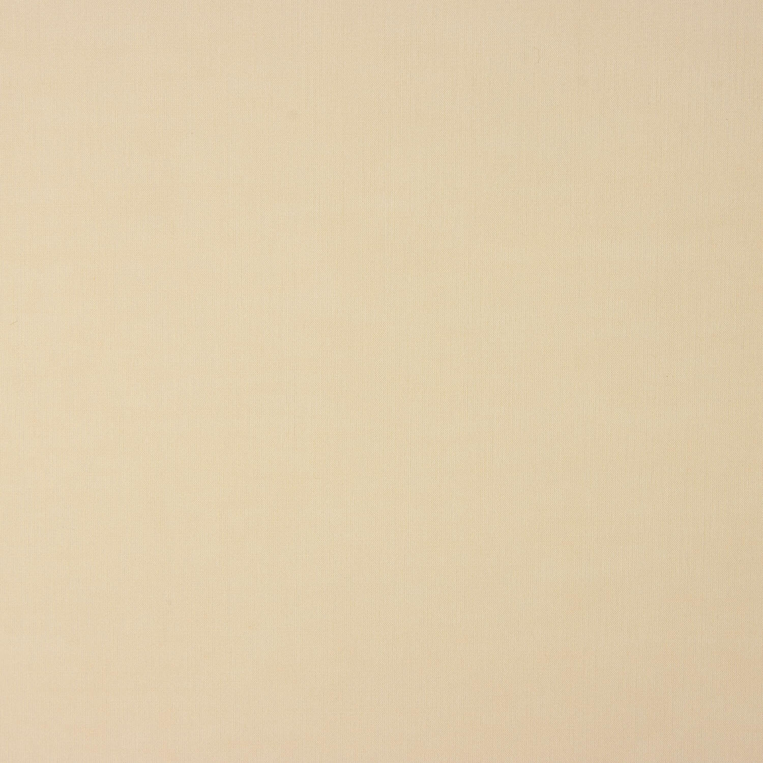 Voile Cotton Light Yellow - Ribes y Casals