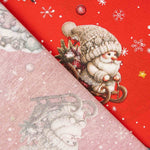 Loneta Navidad Gnomos del Ártico - Ribes y Casals