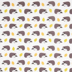Children’s Hedgehog Print Cotton Poplin - Ribes y Casals