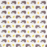 Children’s Hedgehog Print Cotton Poplin - Ribes y Casals