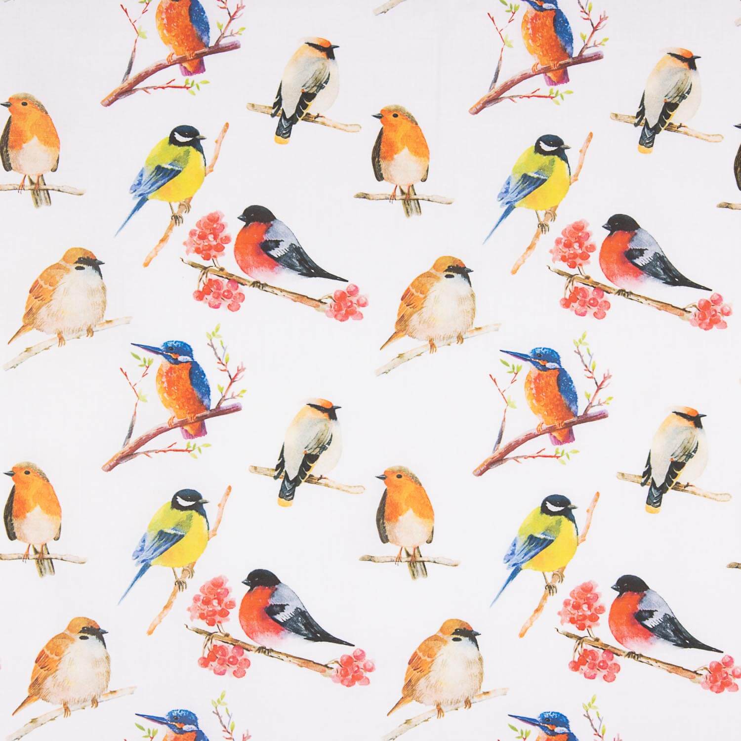Poplin Cotton Printed Birds Colours - Ribes y Casals