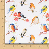 Poplin Cotton Printed Birds Colours - Ribes y Casals