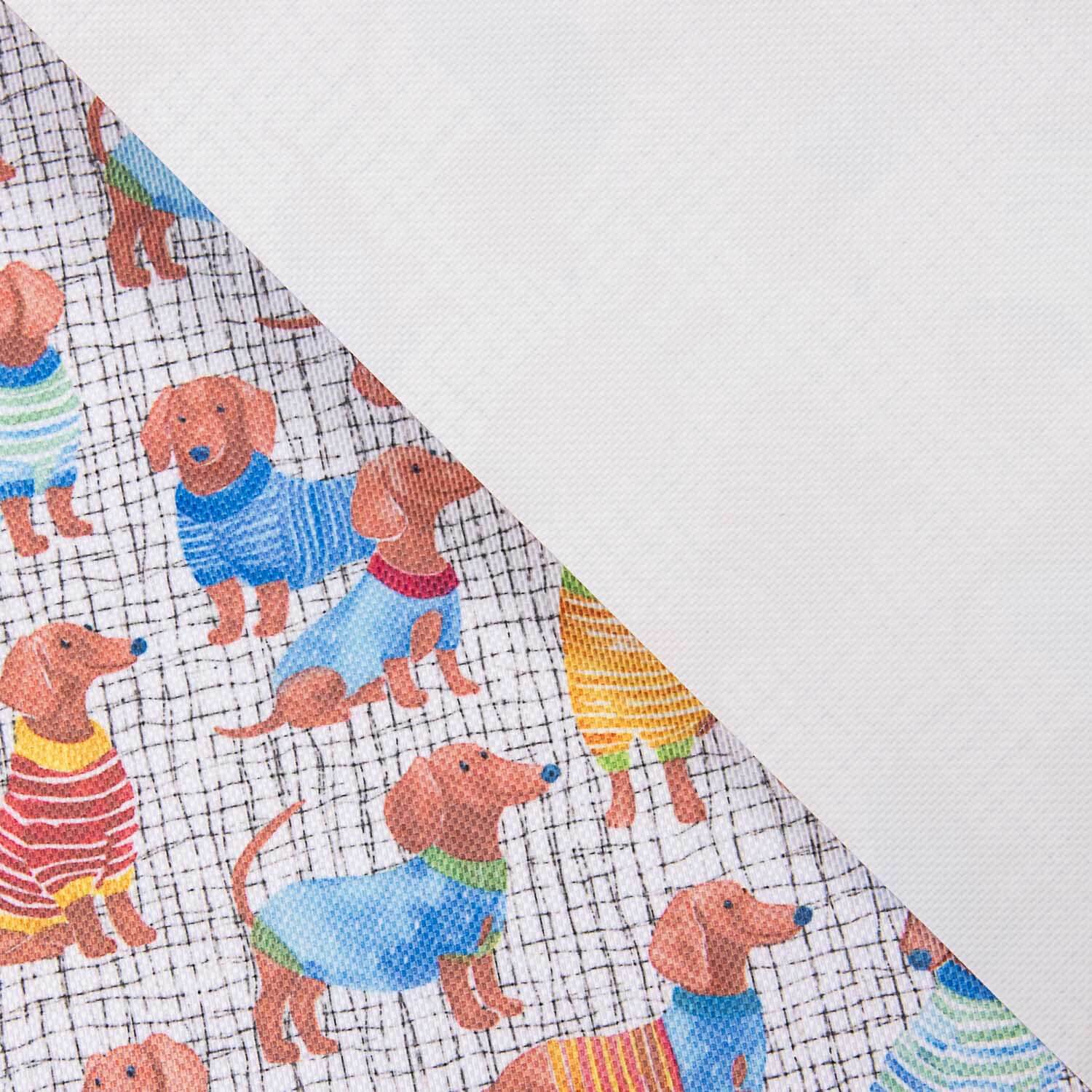 Water-repellent coated Dachshunds - Ribes y Casals