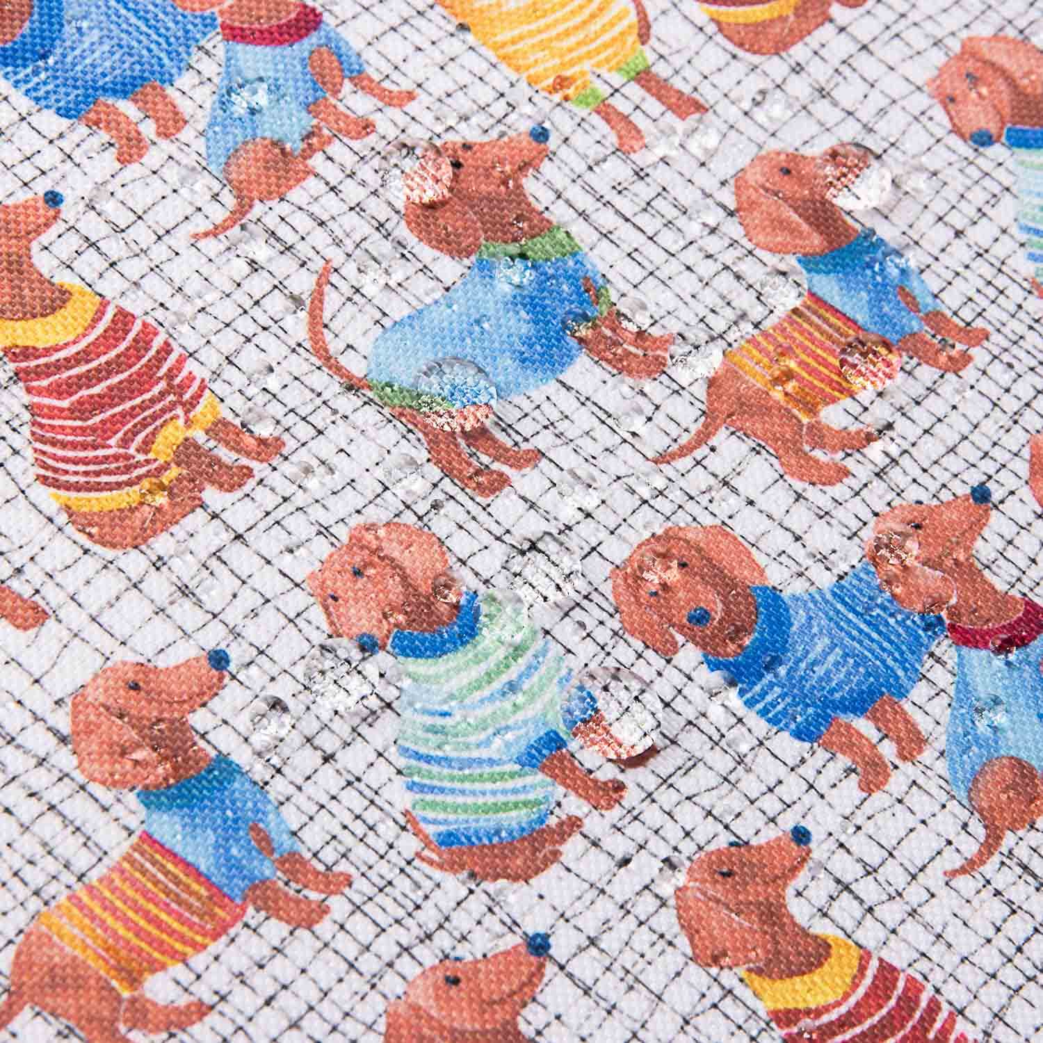 Water-repellent coated Dachshunds - Ribes y Casals