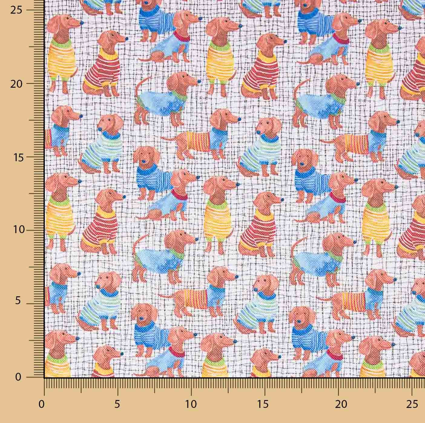 Water-repellent coated Dachshunds - Ribes y Casals