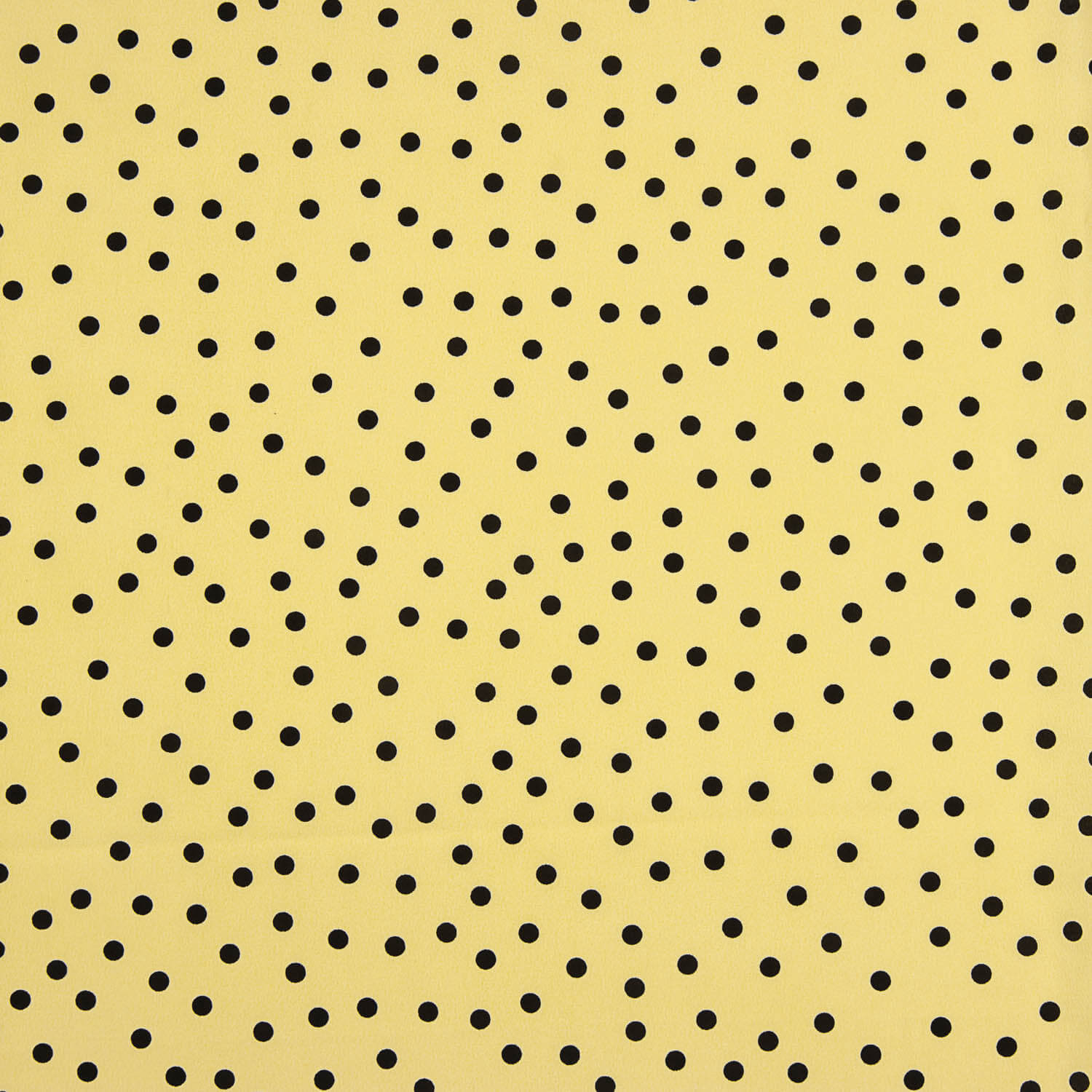 Koshibo Lunares 7 mm Vainilla / Negro - Ribes y Casals