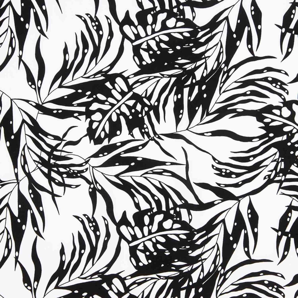 Bambú Palmar Negro - Ribes y Casals